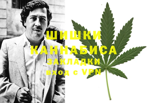 гидра Новокубанск